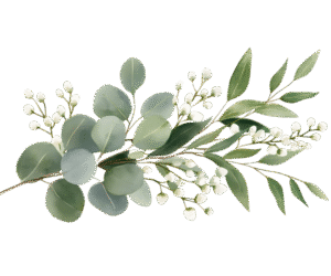 Eucalyptus essential oil