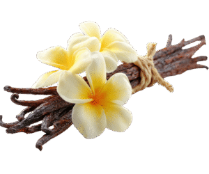 Vanilla Fragrance oil