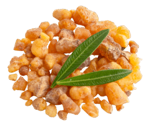 Frankincense Fragrance oil