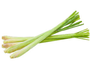 Lemongrass essential oil