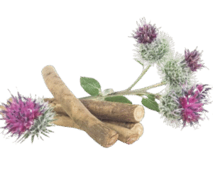 Burdock Hair oil
