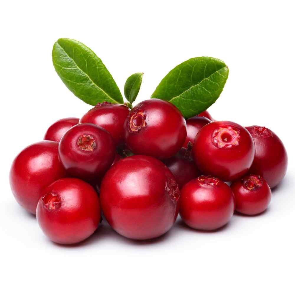 cranberry